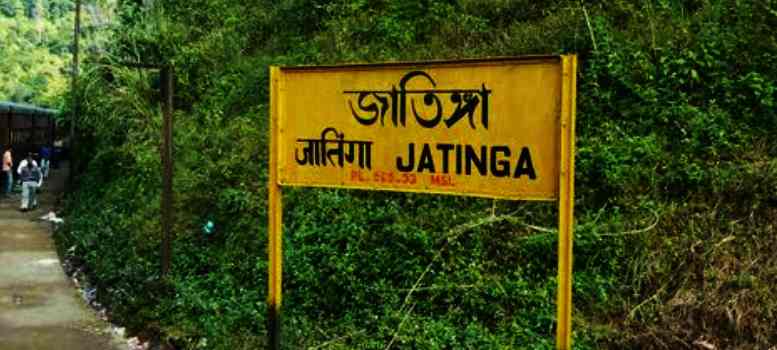 Jatinga