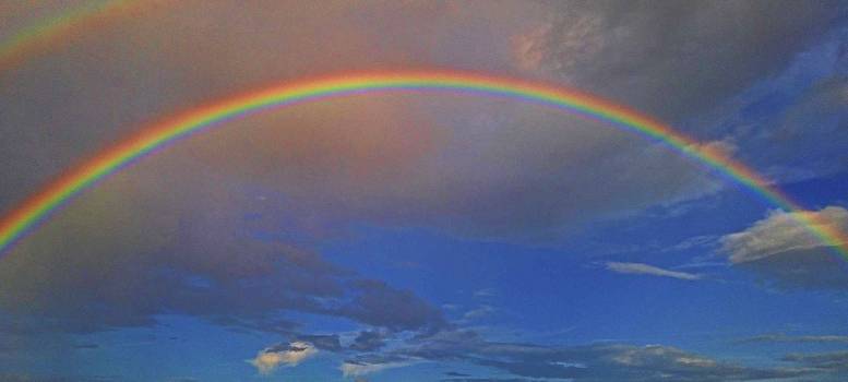 Rainbow