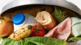 Wasting Food