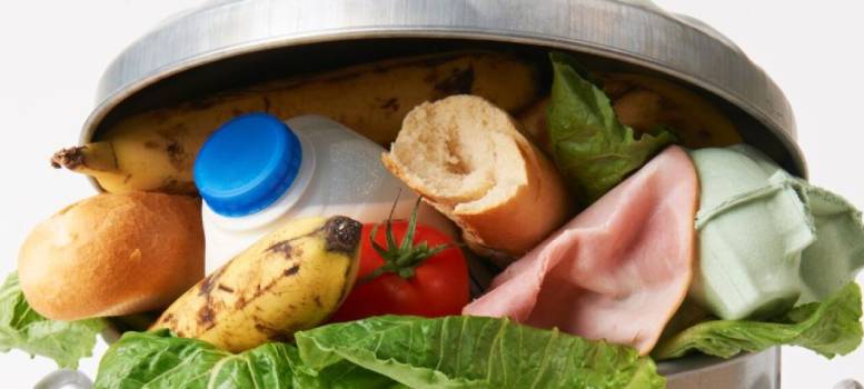 Wasting Food