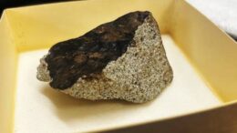Meteorite
