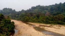 Jim Corbett National Park