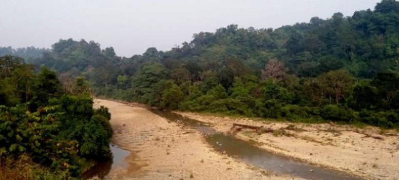 Jim Corbett National Park