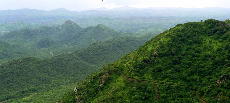 Aravalli Hills ধ্বংসের রাস্তা প্রায় তৈরিই হয়ে গিয়েছিল