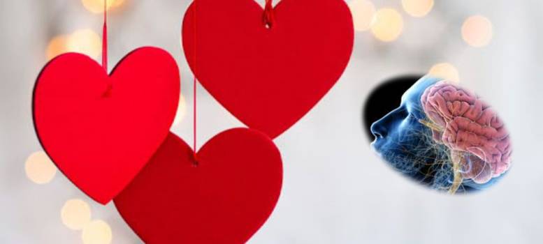 Valentine’s Day-তে ভালোবাসার হরমোন আর পেটে বাটারফ্লাই