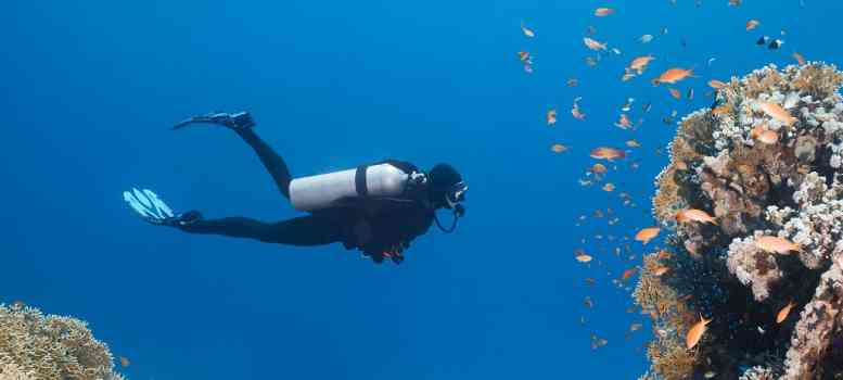Underwater Cave খুঁজতে গিয়ে মালদ্বীপে মৃত্যু ইতালিয়ান অধ্যাপক ও তাঁর সঙ্গীদের