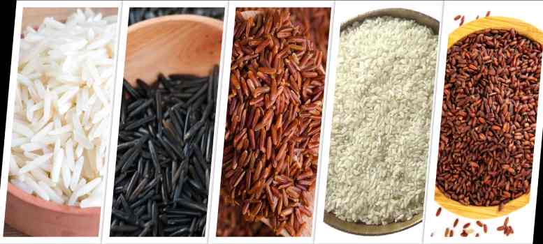 Rice খেতে ভালোবাসেন? তাহলে জেনে নিন আপনার দেশে কত রকমের চাল রয়েছে