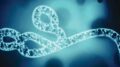 Ebola