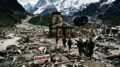 Kedarnath Flood