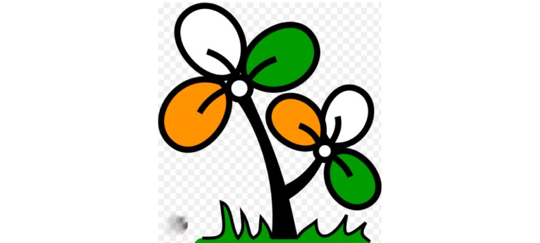তাহলে কি হারিয়ে যাবে ‘অল ইন্ডিয়া Trinamool Congress’ আর ‘ঘাস-ফুল’ প্রতীক