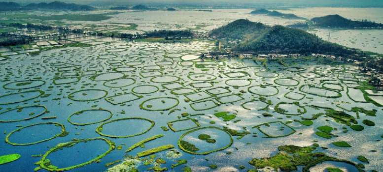 Floating National Park, যা রয়েছে এই ভারতেই, জানেন কোথায়
