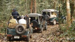 Kaziranga National Park
