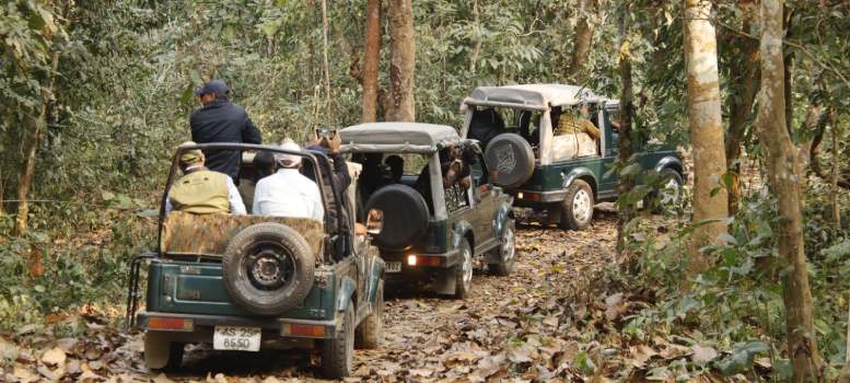 Kaziranga National Park খুলে গেল ভ্রমনার্থীদের জন্য, পুজোর মরসুমে বাড়তি পাওনা